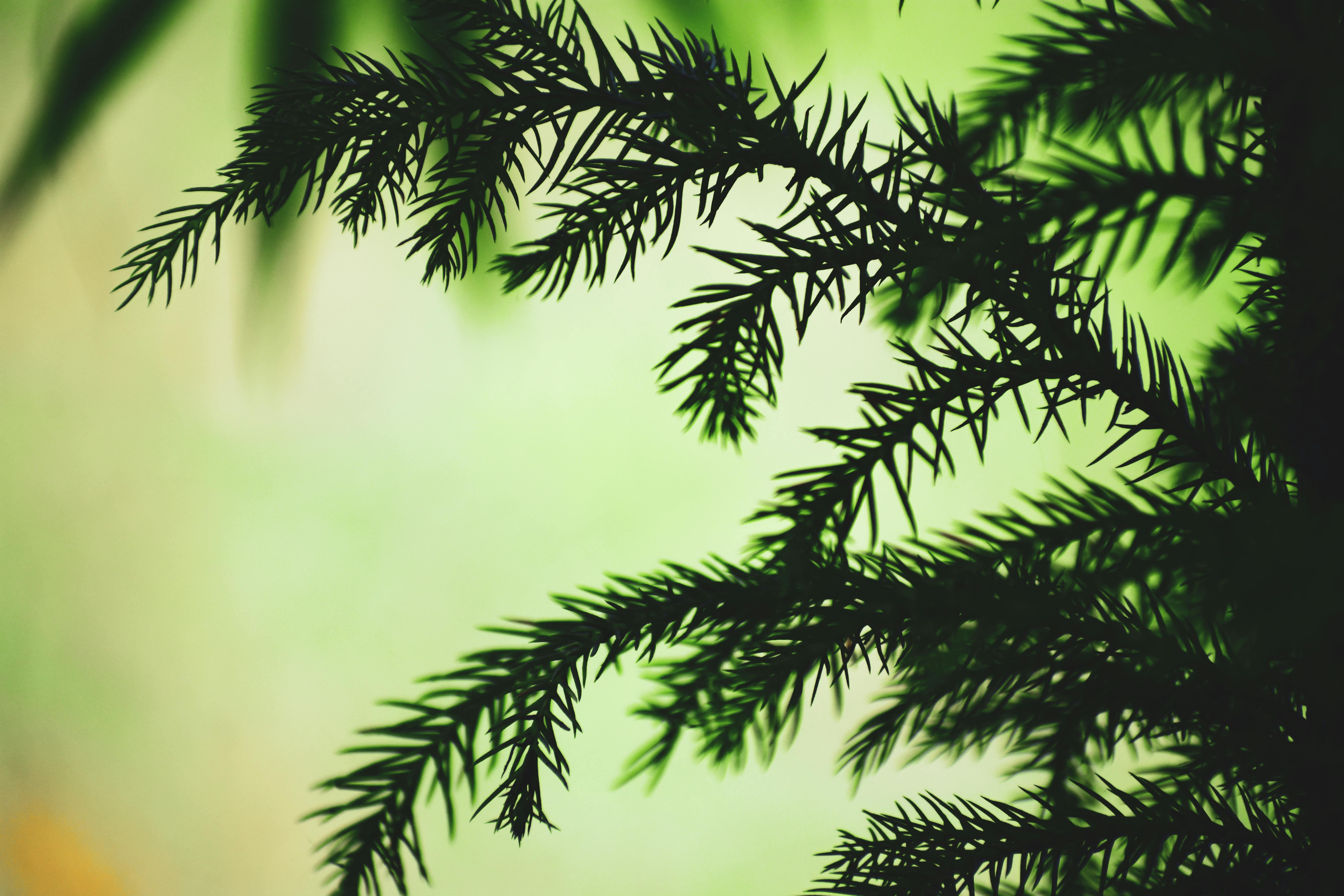 Digital Shop Front Progressive Web App