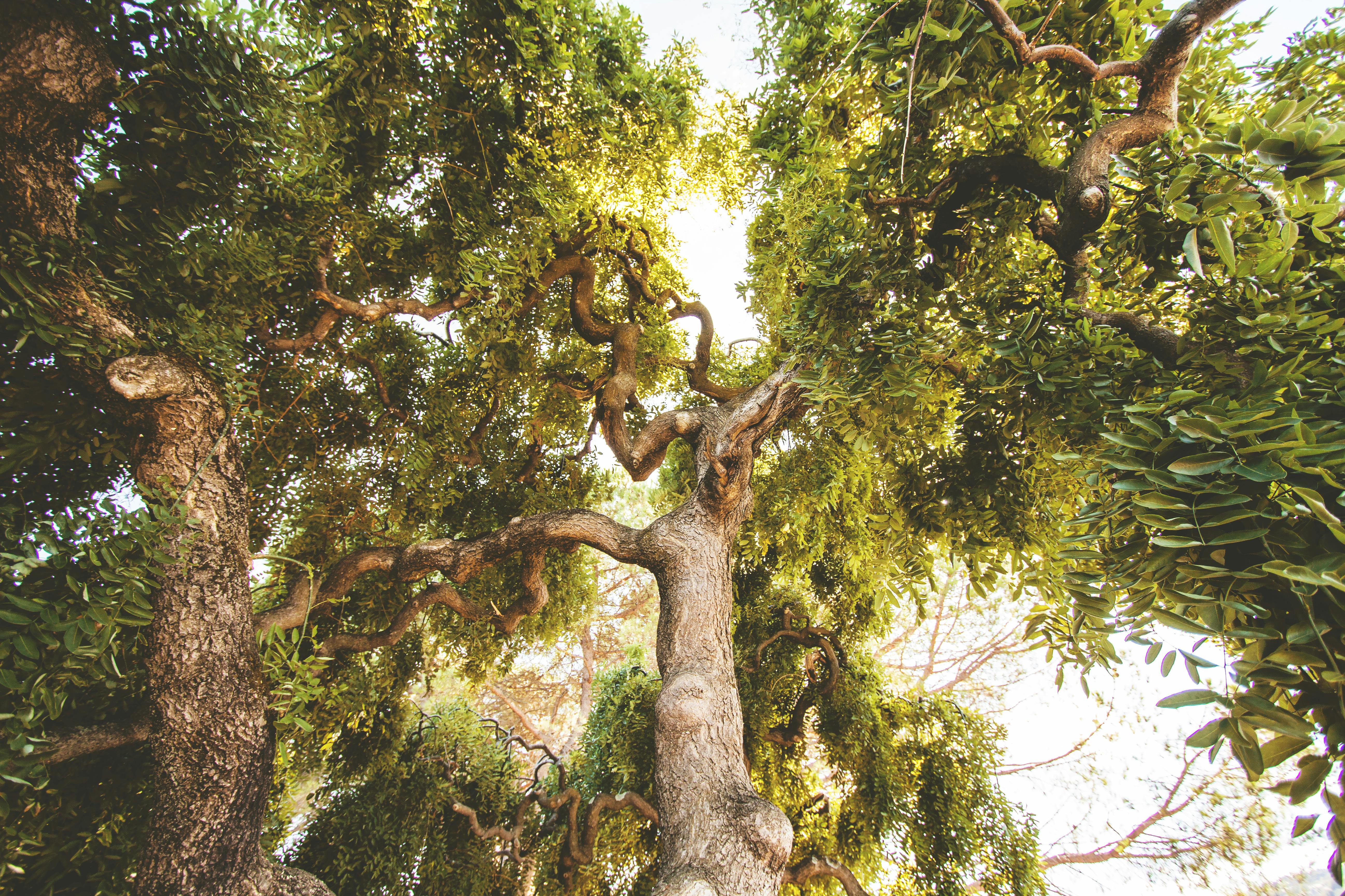 Progressive Web App Mobile Responsive Blog