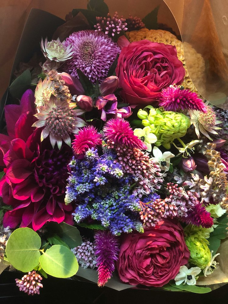 Ultimate Linux 20-in-1 Distros